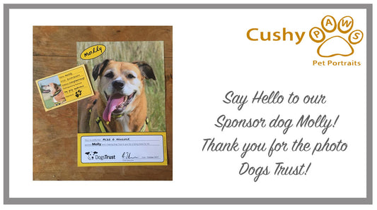 Dogs Trust Sponsor