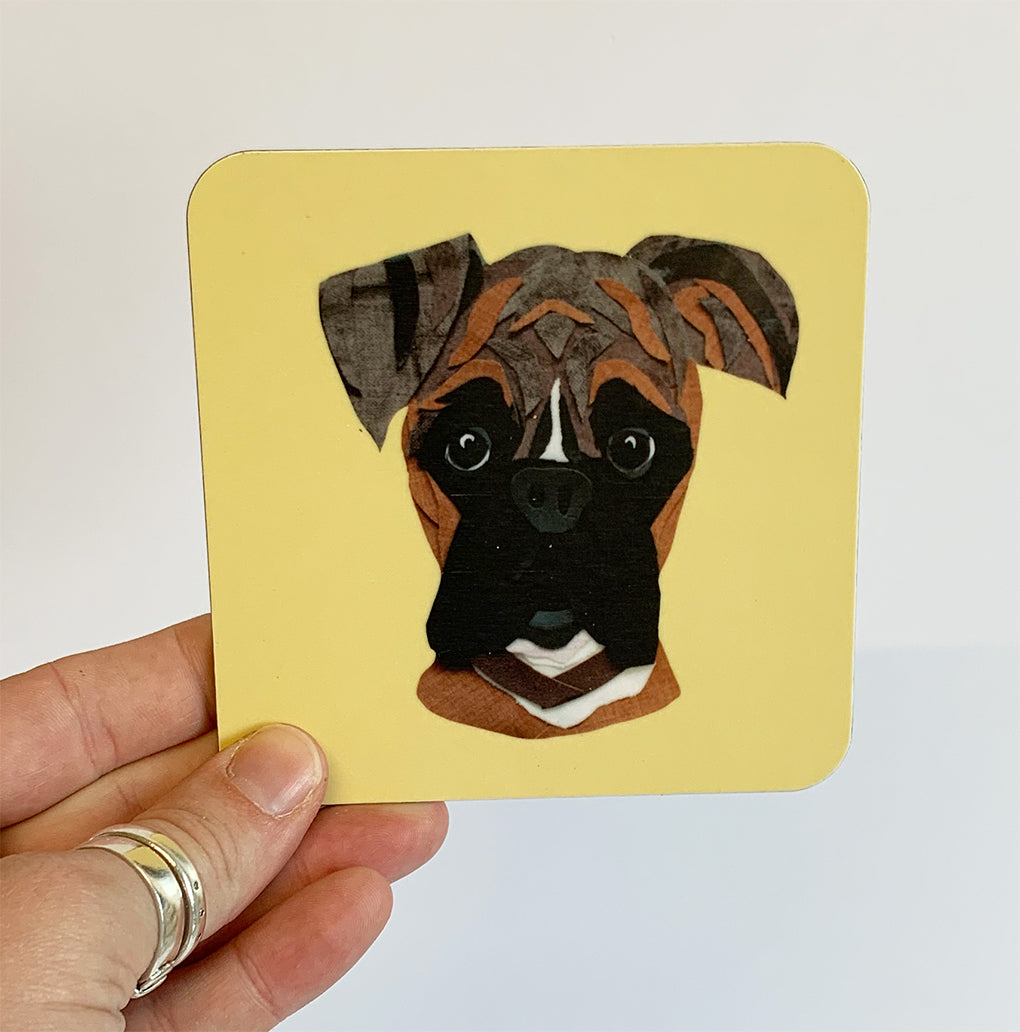 Boxer Coaster