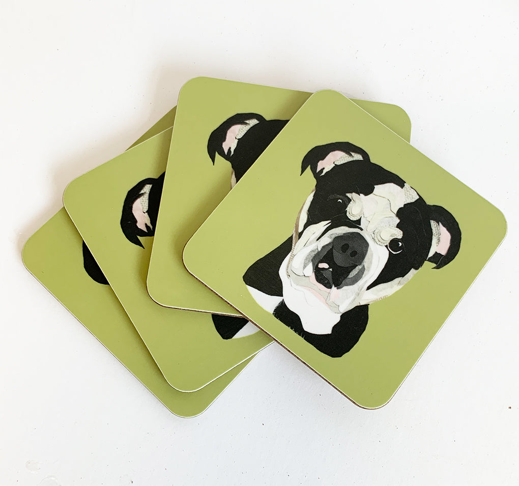 Bulldog Coaster