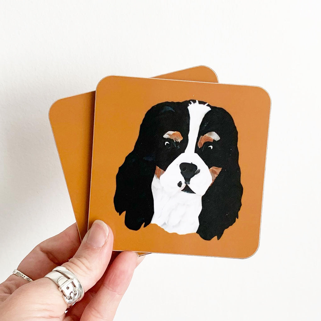 Cavalier Coaster