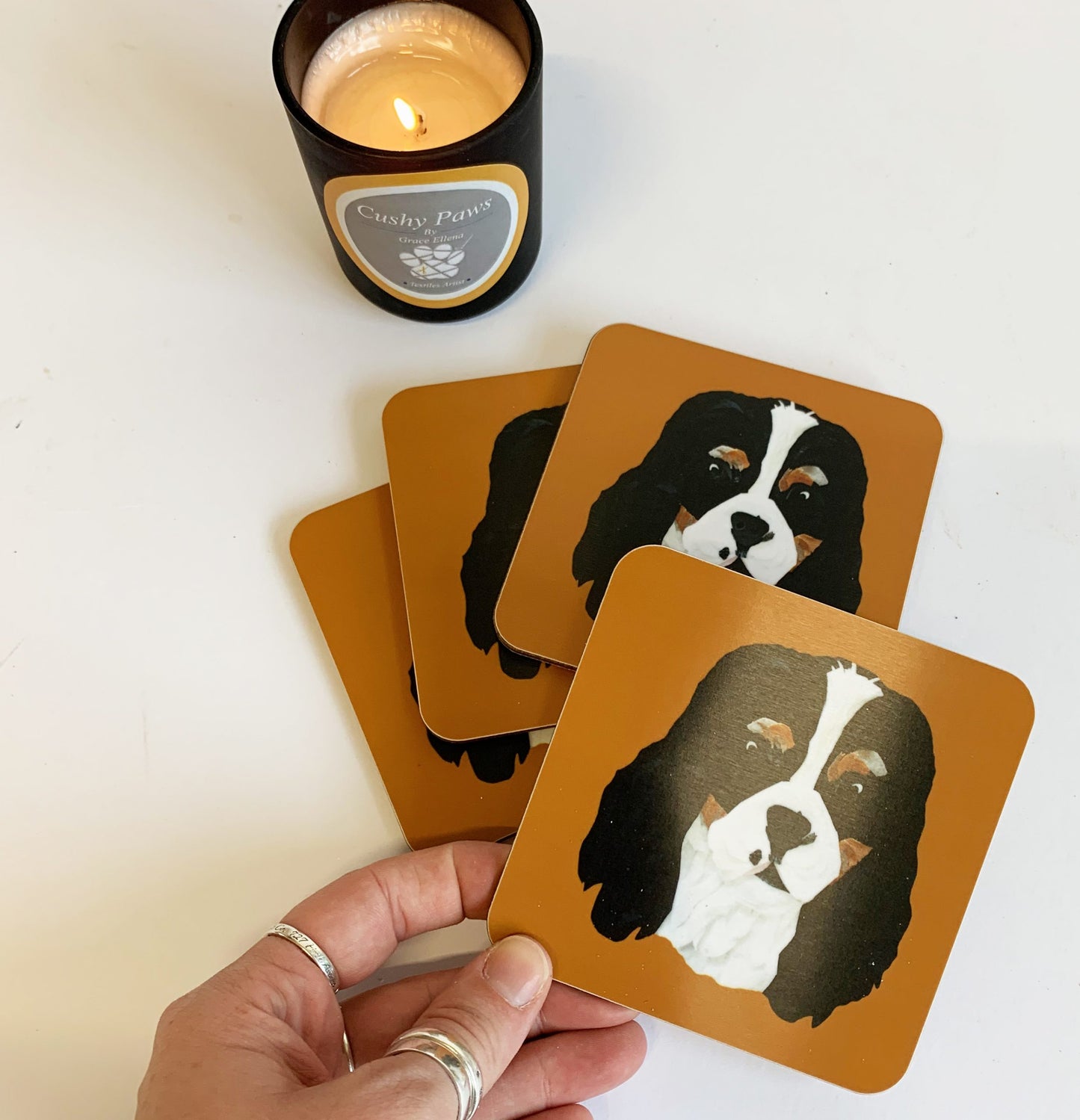 Cavalier Coaster