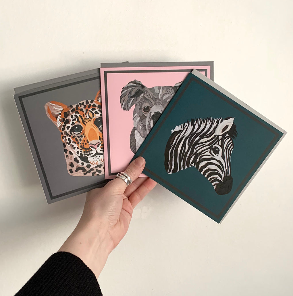 Animal Cards
