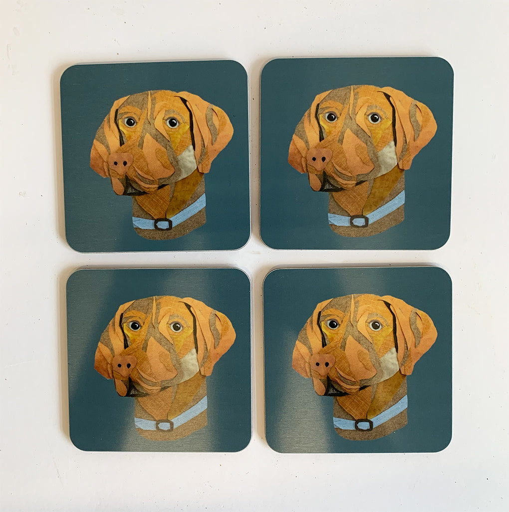 Vizsla  Coaster