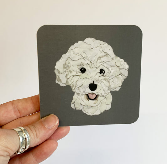 Bichon Coaster