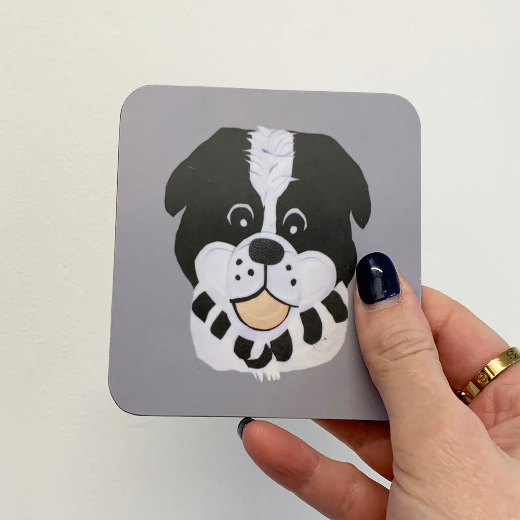 Port Vale Coasters